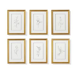 Nature's Gift Giclee Prints - Print VI - Frontgate