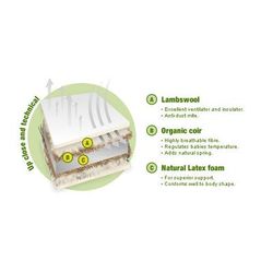 Natural Mat Organic Mattress In Latex (27" x 52")