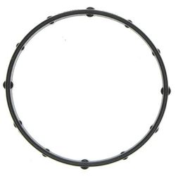 Mahle Thermostat Gasket, 1-year limited warranty C32719
