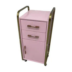 Modern Luxury Pink Wood Hairdressing Trolley With Stainless Steel Tools Spa Beauty Salon Furniture Storage Drawers Home Workshop