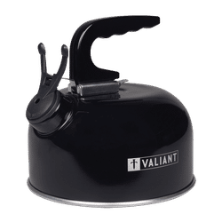 TEMU Camping Kettle
