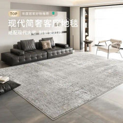 Tapis de salon lavable et essuyable, tapis de chevet de chambre à coucher, tapis de sol rétro imperméable, grande surface, couverture complète