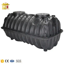 Biodigestor Home Biogas Plant Serbatoio settico per acque reflue in plastica in vendita