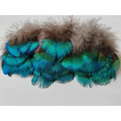 100 pièces, attache de mouche, Veren, artisanat bricolage plumes de plombage de paon vert pour bijoux bricolage, Plumes décoratives, 4-6 cm