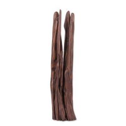 Natural Fork I,'Pronged Sal Driftwood Sculpture from India'