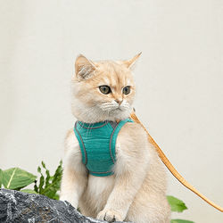 Cat Luminous Harness & Leash Set Green 2XL
