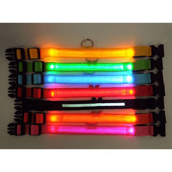 LED Adjustable Dog Collar, Blinking, Flashing, Light Up, Glow in the Dark, Waterproof Safety Collar For Pets l green