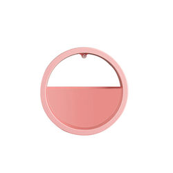 Orbicular Wall Plant Vase Pink 23cm