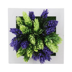 Succulent Wall Hanger Frame Design 3