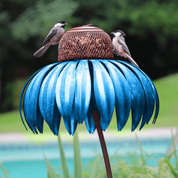 Coneflower Bird Feeder Blue
