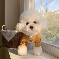 Puppy Cartoon Clothes: Summer Pet Apparel For Dogs & Cats M 2