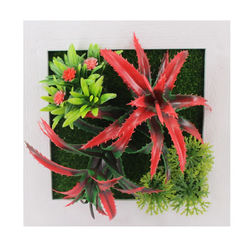 Succulent Wall Hanger Frame Design 13
