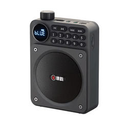 Mini Digital FM Radio Bluetooth Speaker With USB TF Card Display black 2