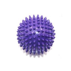 Premium Balance Pods For Exercise Ideal Fitness Gear & Perfect Gift For Health Enthusiasts Purple