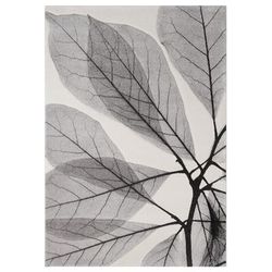 Tappeto Moderno disegno Foglie Grigio Nero 230x160cm