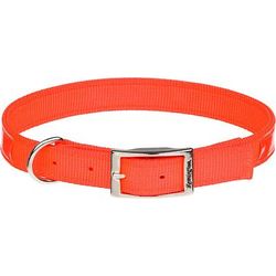 Reflective Orange Double Ply Safety Dog Collar, 18" L X 1" W, Small