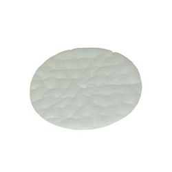 ProTeam Running Vac CN and QuietPro CN High Filtration Disk (Optional) 2 Pack 102761