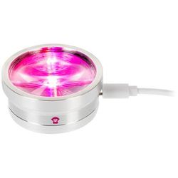 Ape Labs ApeCoin USB-C