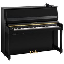 Yamaha B30 SC3 PE