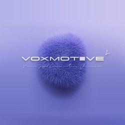 Audiomodern Soundbox Voxmotive 2
