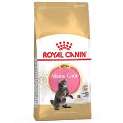 2x10kg Maine Coon Kitten Royal Canin Economy Dry Food