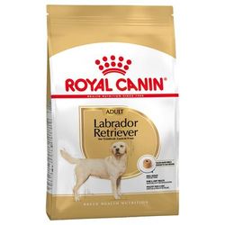 2x12kg Labrador Retriever Adult Royal Canin Dry Dog Food