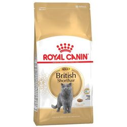 4kg British Shorthair Adult Royal Canin Dry Cat Food