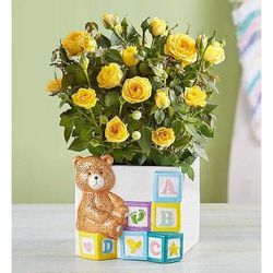 1-800-Flowers Flower Delivery Baby Blocks Playtime Roses | Happiness Delivered To Their Door
