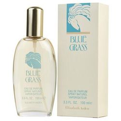 Blue Grass by Elizabeth Arden 3.3 oz Eau De Parfum for Women