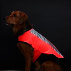 Spot-Lite Dog Reflective Jacket with Orange LED Lights, Medium