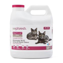 Dual Odor Guard Scoopable Cat Litter, 16 lbs.