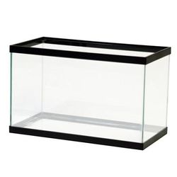 Standard Open-Glass Glass Aquarium Tank, 10 Gallon, Transparent