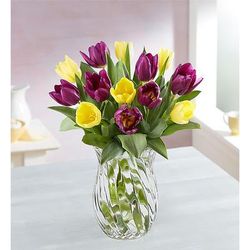 1-800-Flowers Seasonal Gift Delivery Spring Passion Tulip Bouquet 15 Stems W/ Clear Vase | Happiness Delivered To Their Door