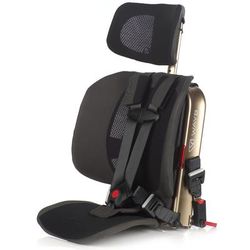 WAYB Pico Forward Facing Travel Car Seat - Earth