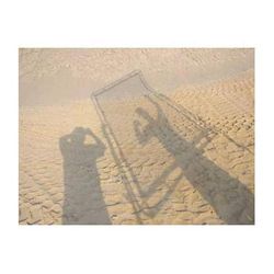 Sunbounce Sun-Swatter Pro Translucent -1/3 Diffuser Screen (4 x 6') 000-250SSW