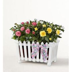 1-800-Flowers Flower Delivery Charming Rose Garden Large | Fast 4-Hour Shipping Available | Happiness Delivered To Their Door