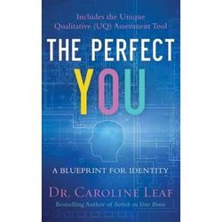 The Perfect You: A Blueprint For Identity