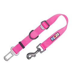 Pink Seat Belt Pet Carrier