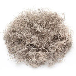 Mousse espagnole, couleur naturelle, 50 g