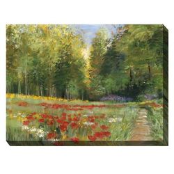 WILDERNESS WALK OUTDOOR ART 40X30 by West of the Wind in Multi