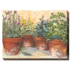 HERB POTS OUTDOOR ART 40X30 by West of the Wind in Multi