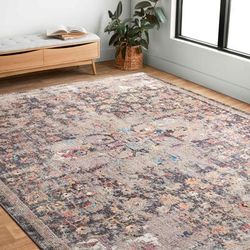 Alexander Home Athens Boho Fiesta Distressed Area Rug