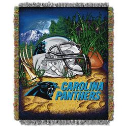 Panthers Home Field Advantage Throw by NFL in Multi