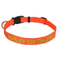 Personalized Dog Collar with Custom Embroidery, Orange, Medium