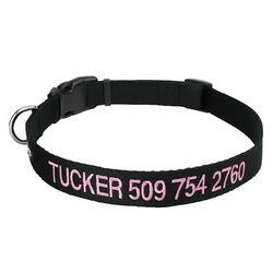 Personalized Dog Collar with Custom Embroidery, Black, Large