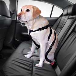 Set Imbracatura per cani Trixie + Coperta in microfibra Smartpet Pawzzz - 70 - 90 cm circ. torace + coperta L 100 x P 75 cm