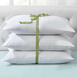 3-Pack Pillow by BrylaneHome in White (Size PSTAND)