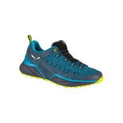 Salewa Dropline Hiking Shoes - Men's Blue Danube/Ombre Blue 13 00-0000061368-8376-13