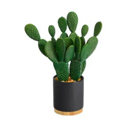 Nearly Natural 10in. Cactus Succulent Artificial Plant in Planter, Green