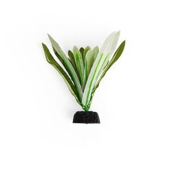 Imagitarium Anubias Betta Plant, Small
